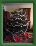 051224b1_weihnachtsbaum_waiting * 480 x 640 * (73KB)