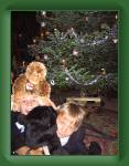 051224r_nach_der_bescherung3 * 480 x 640 * (92KB)