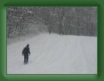 051228_boyz_kahlenberg * 640 x 480 * (60KB)