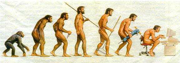 Evolution
